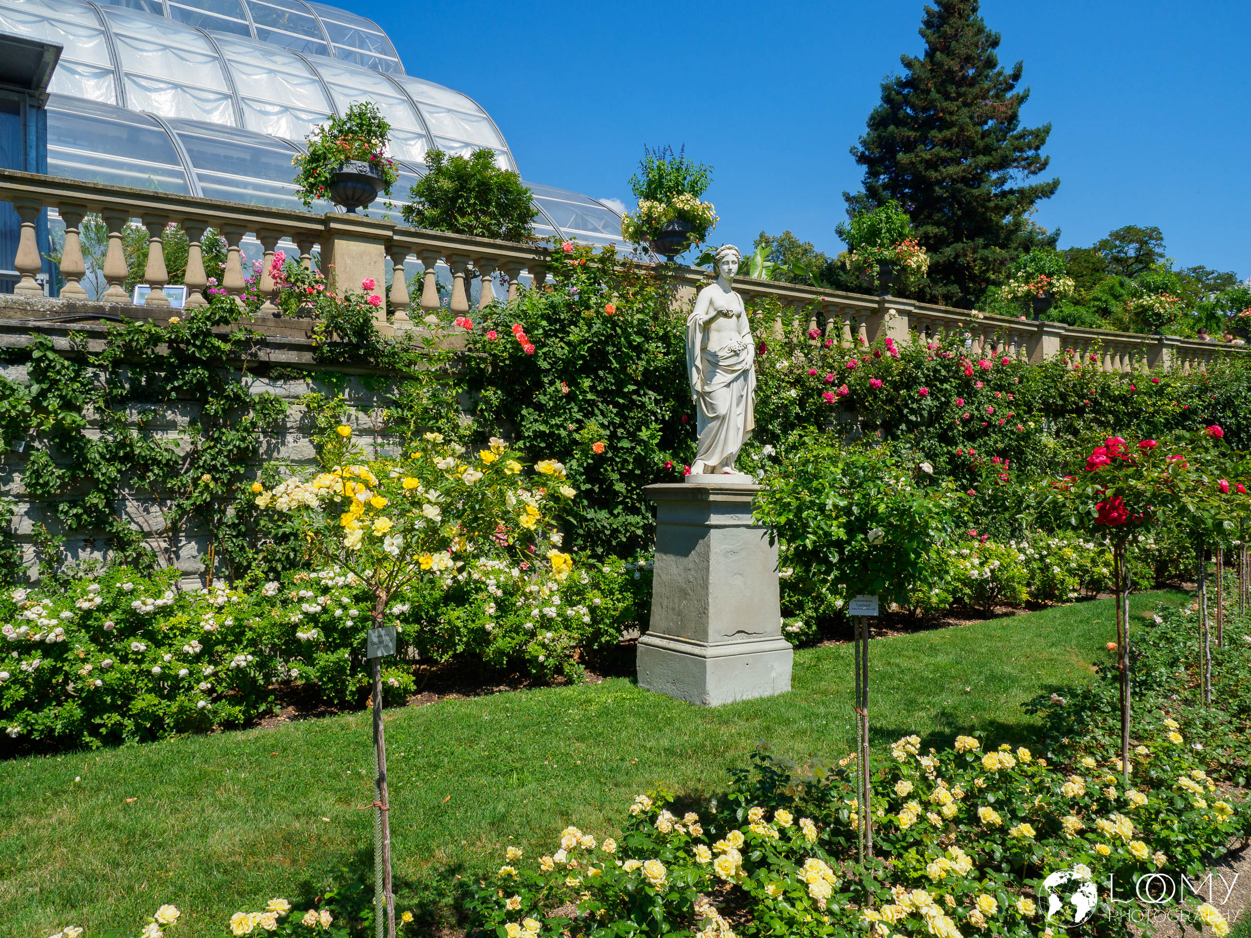 Rosengarten