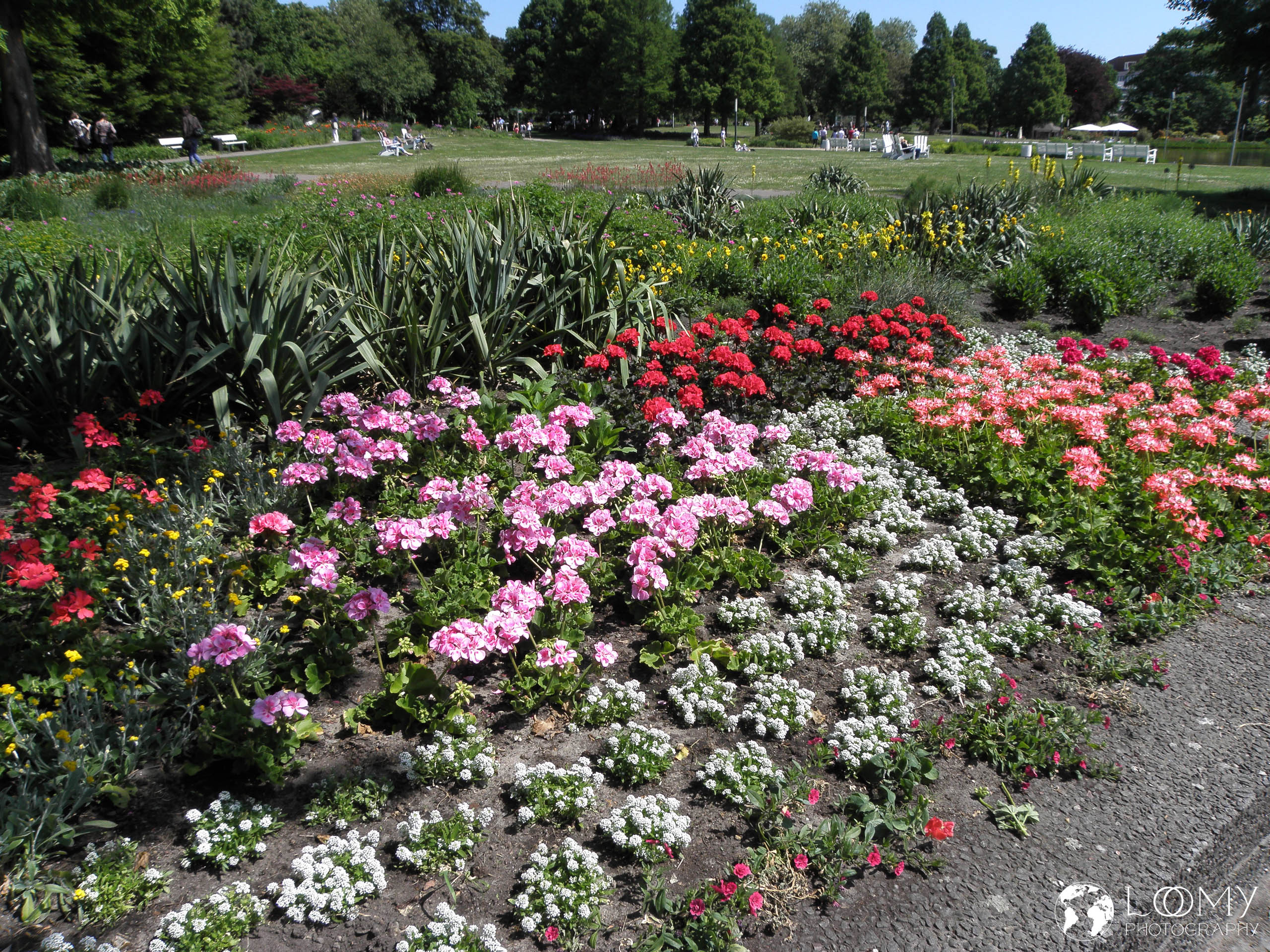 Planten un Blomen