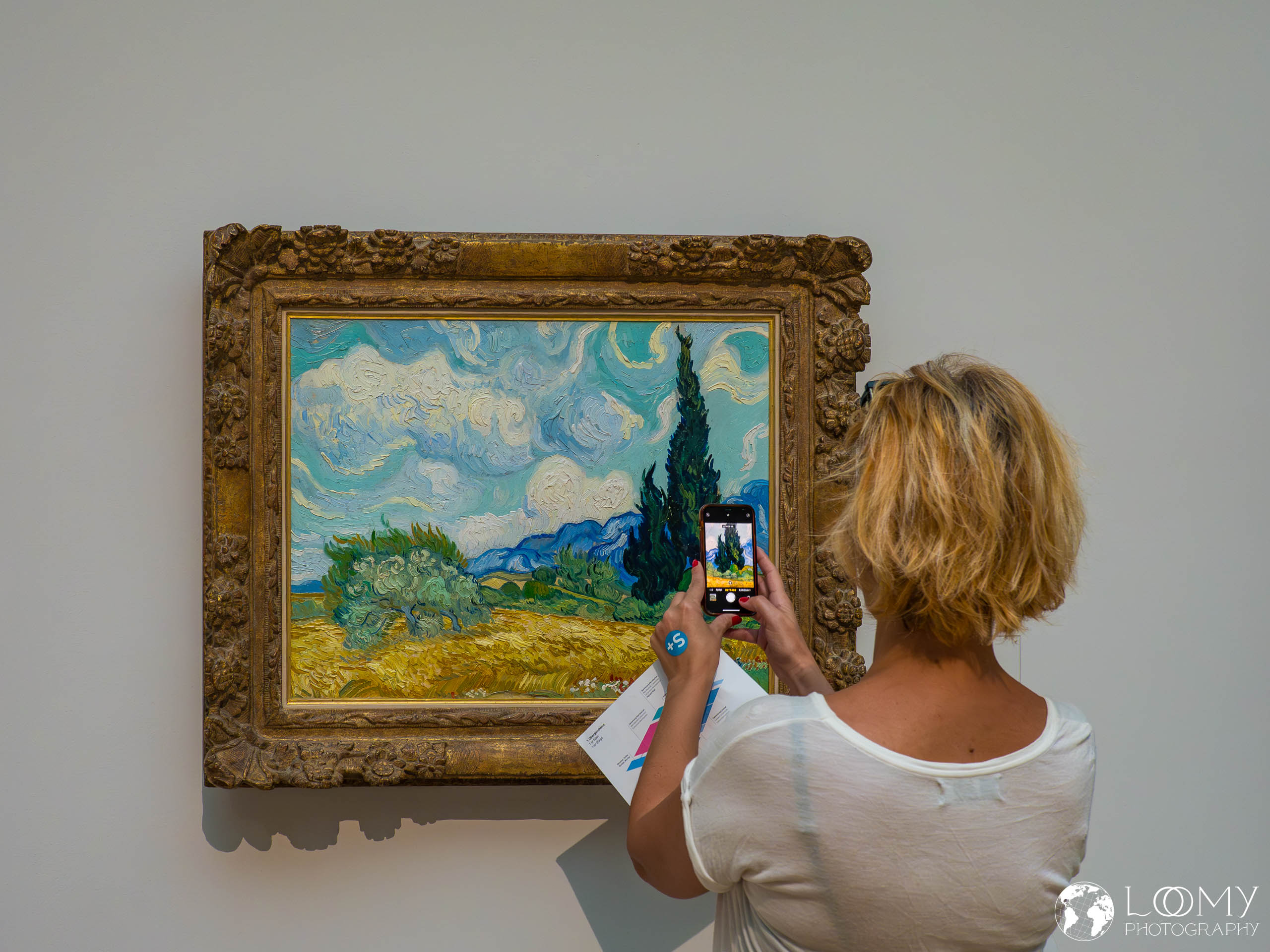 Zypresse und blühender Baum