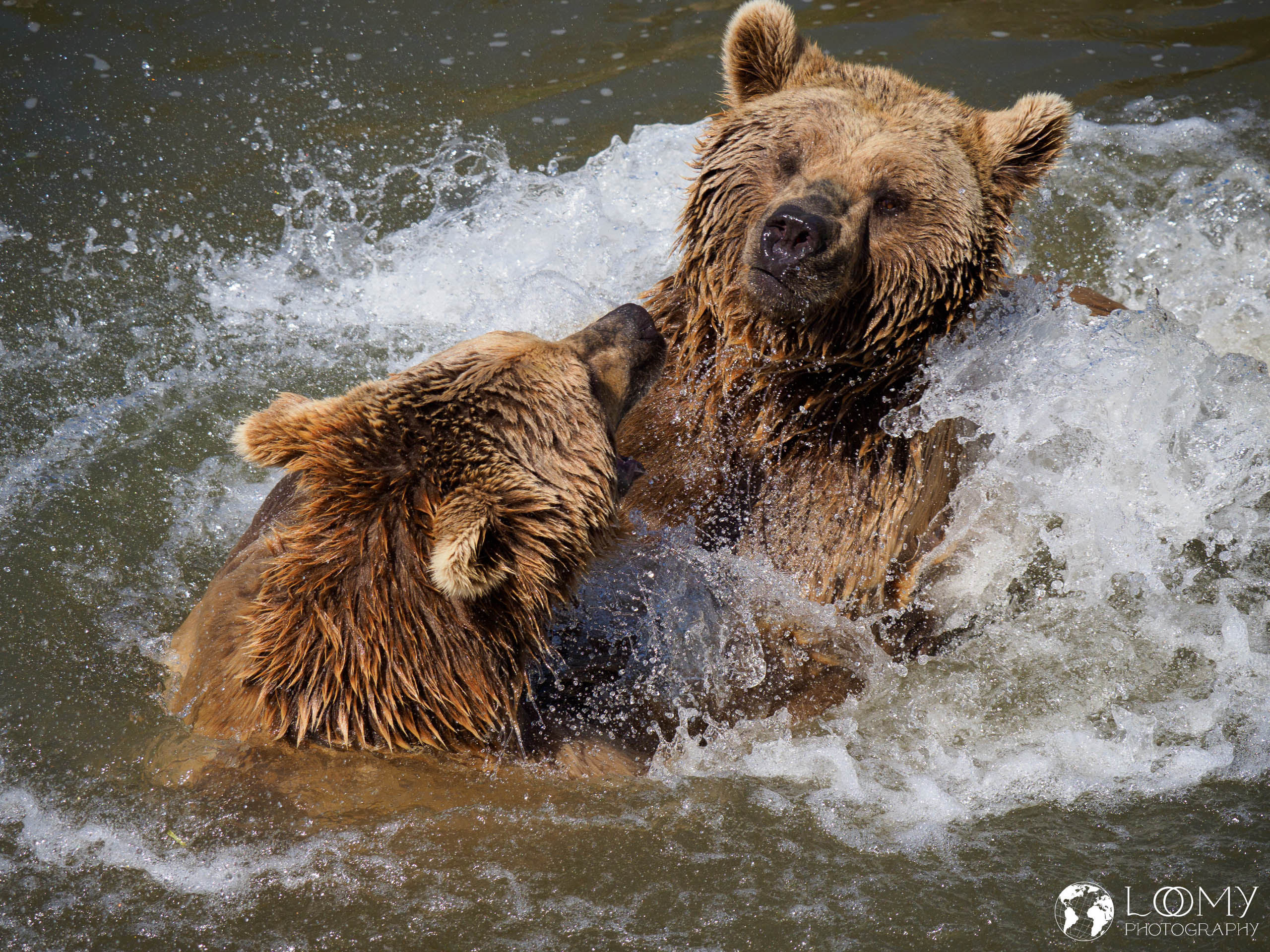 Tierpark Goldau