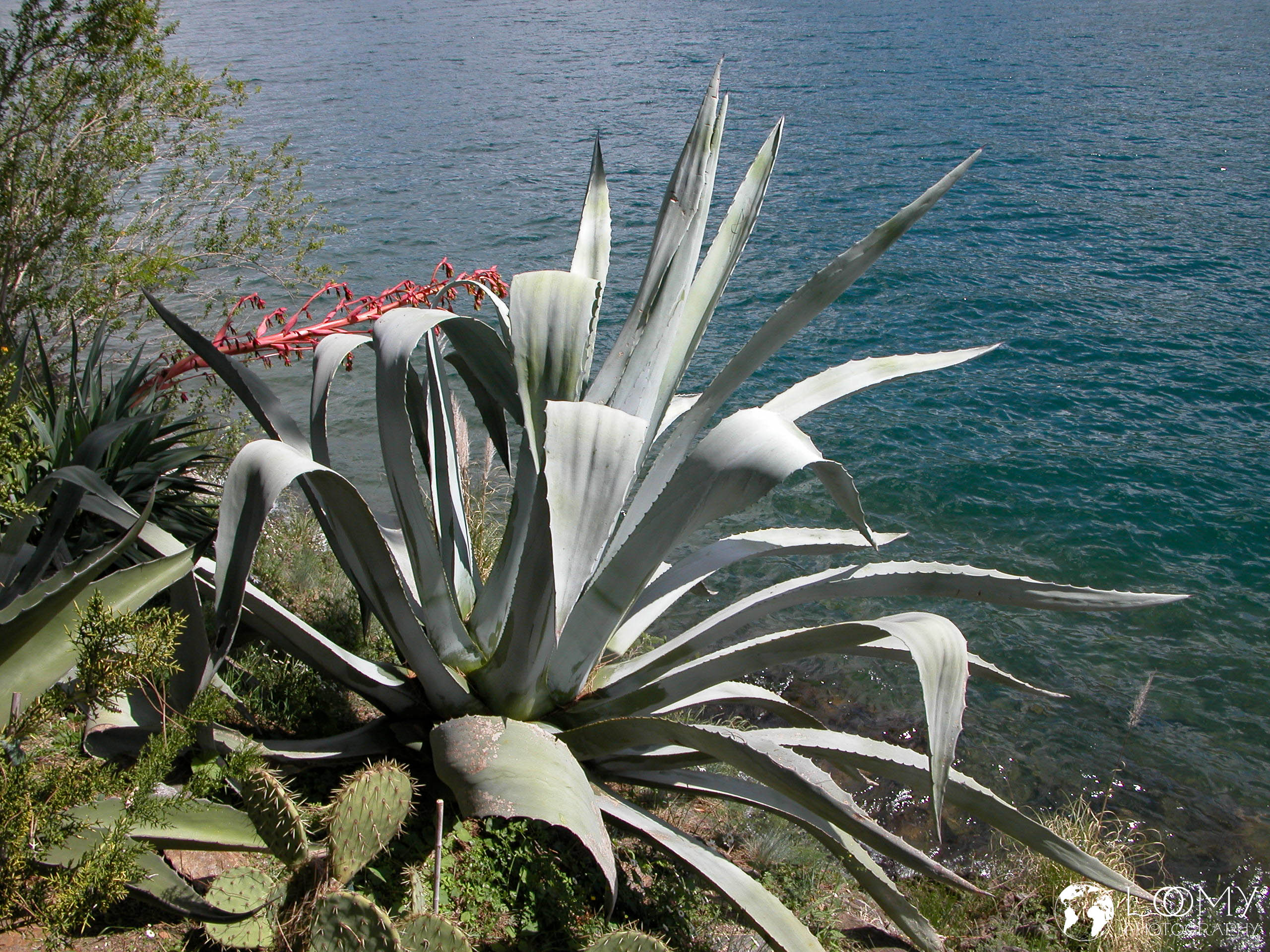 Botanischer Garten