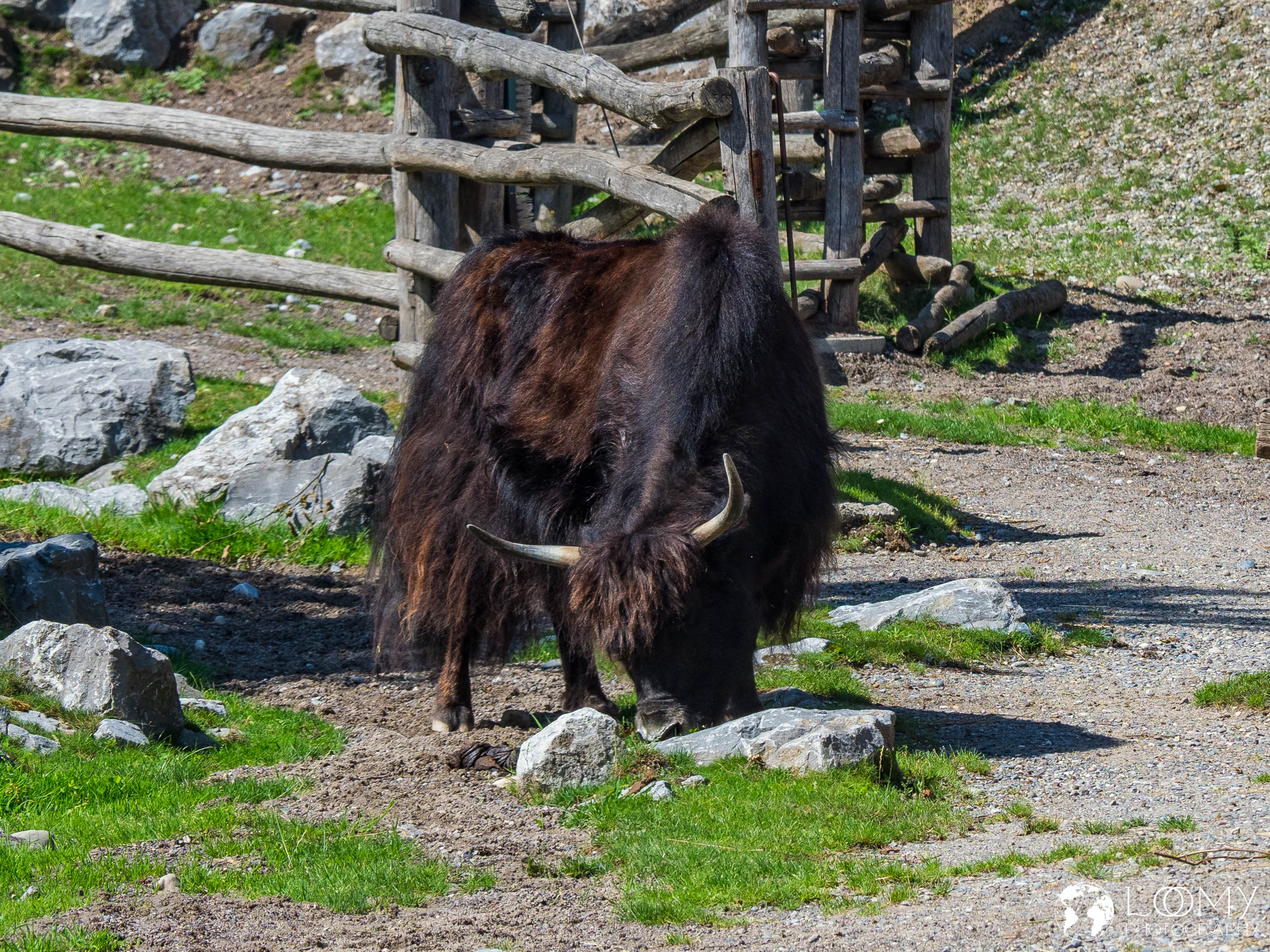 Hausyak
