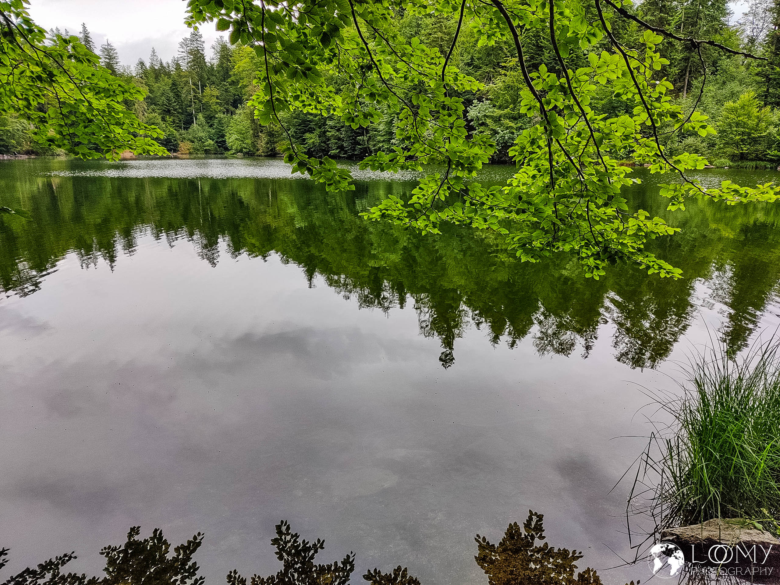 Pfrillsee