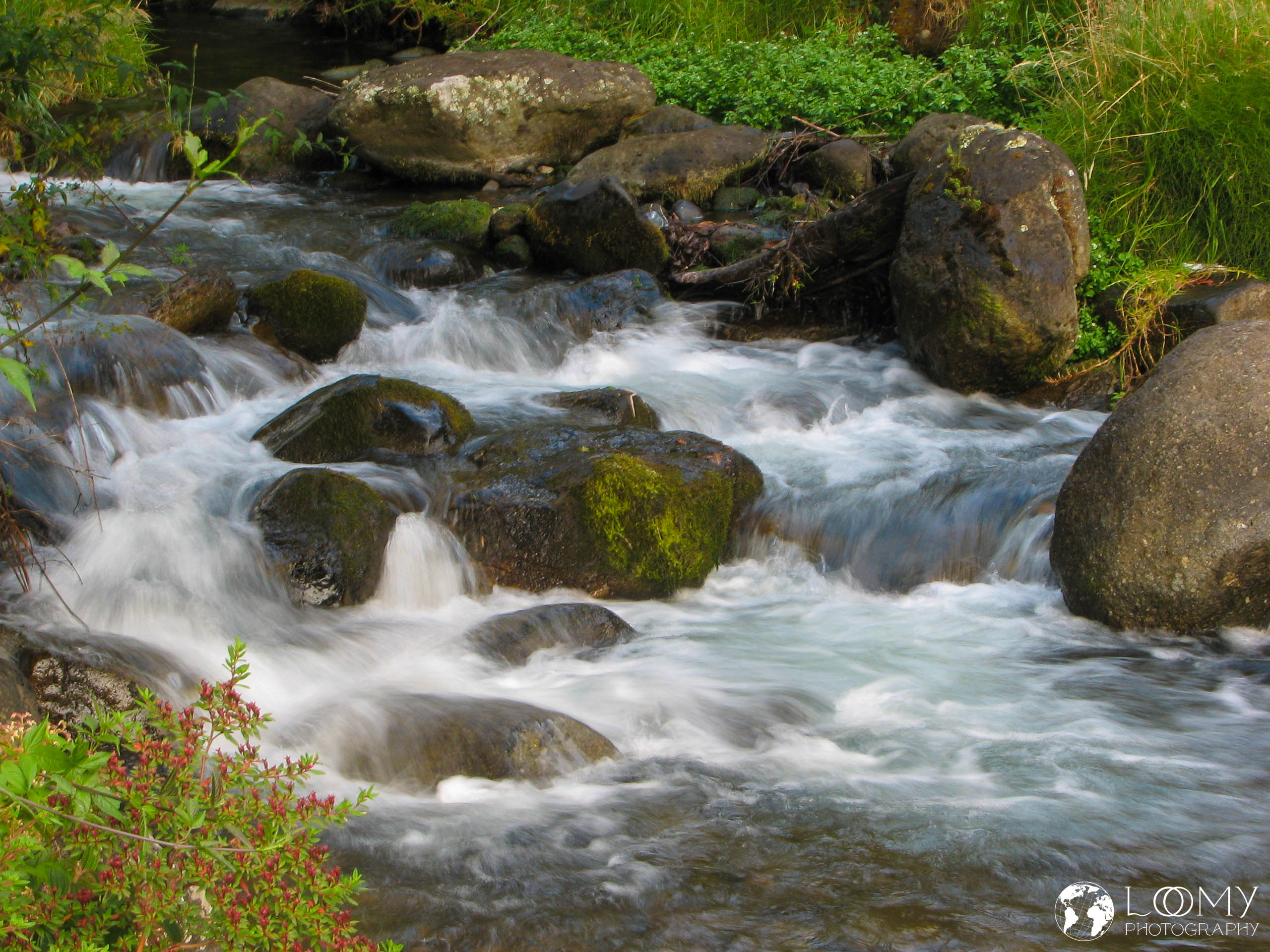 Río Savegre