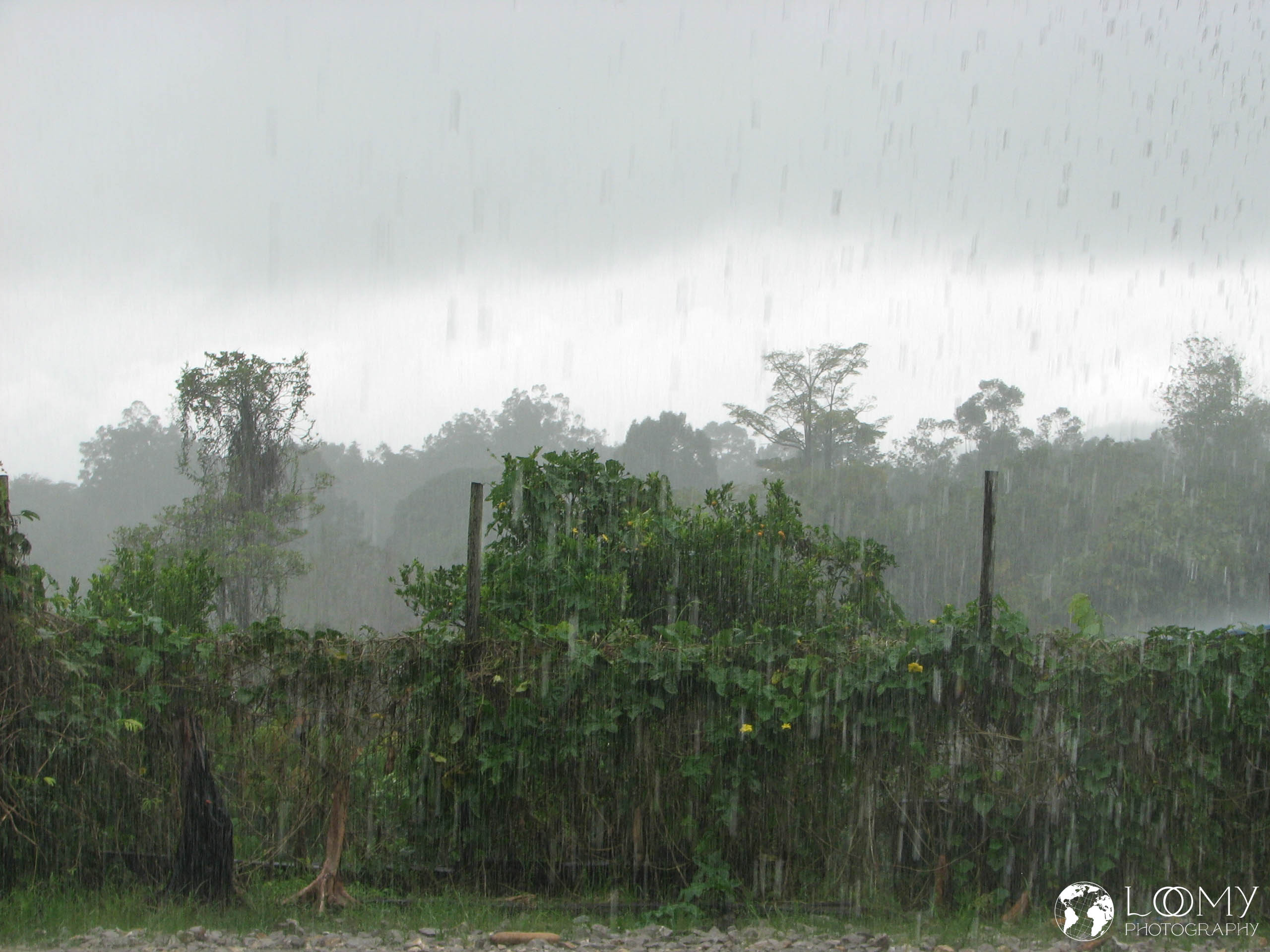 Regen
