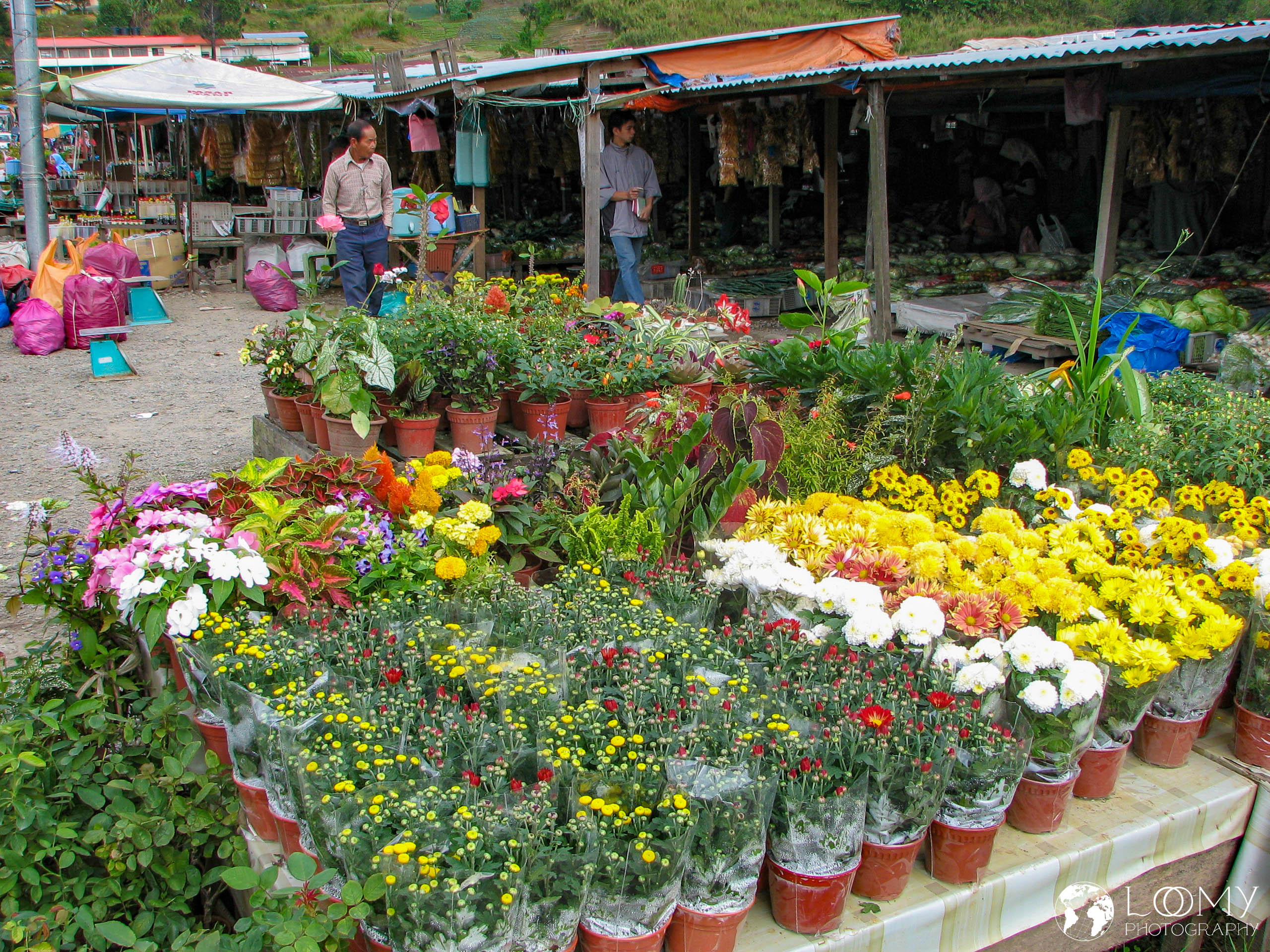 Markt