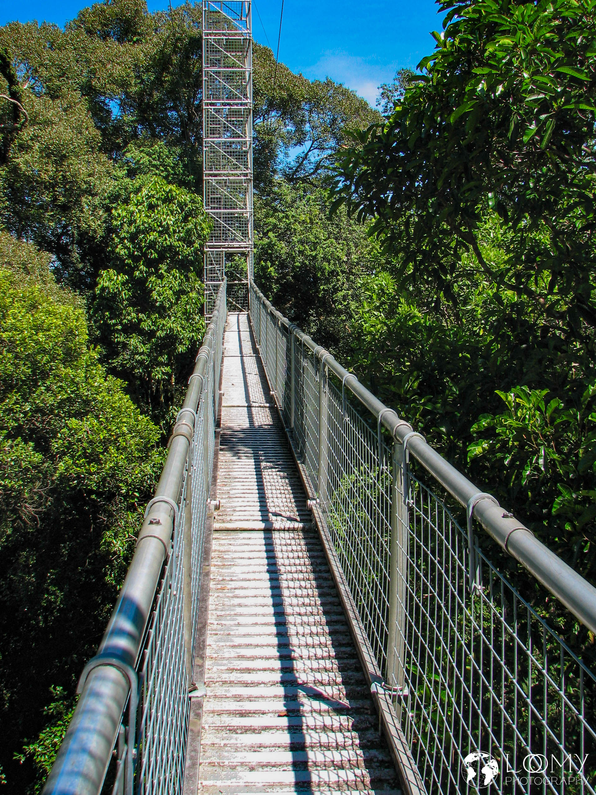 Canopy Walk