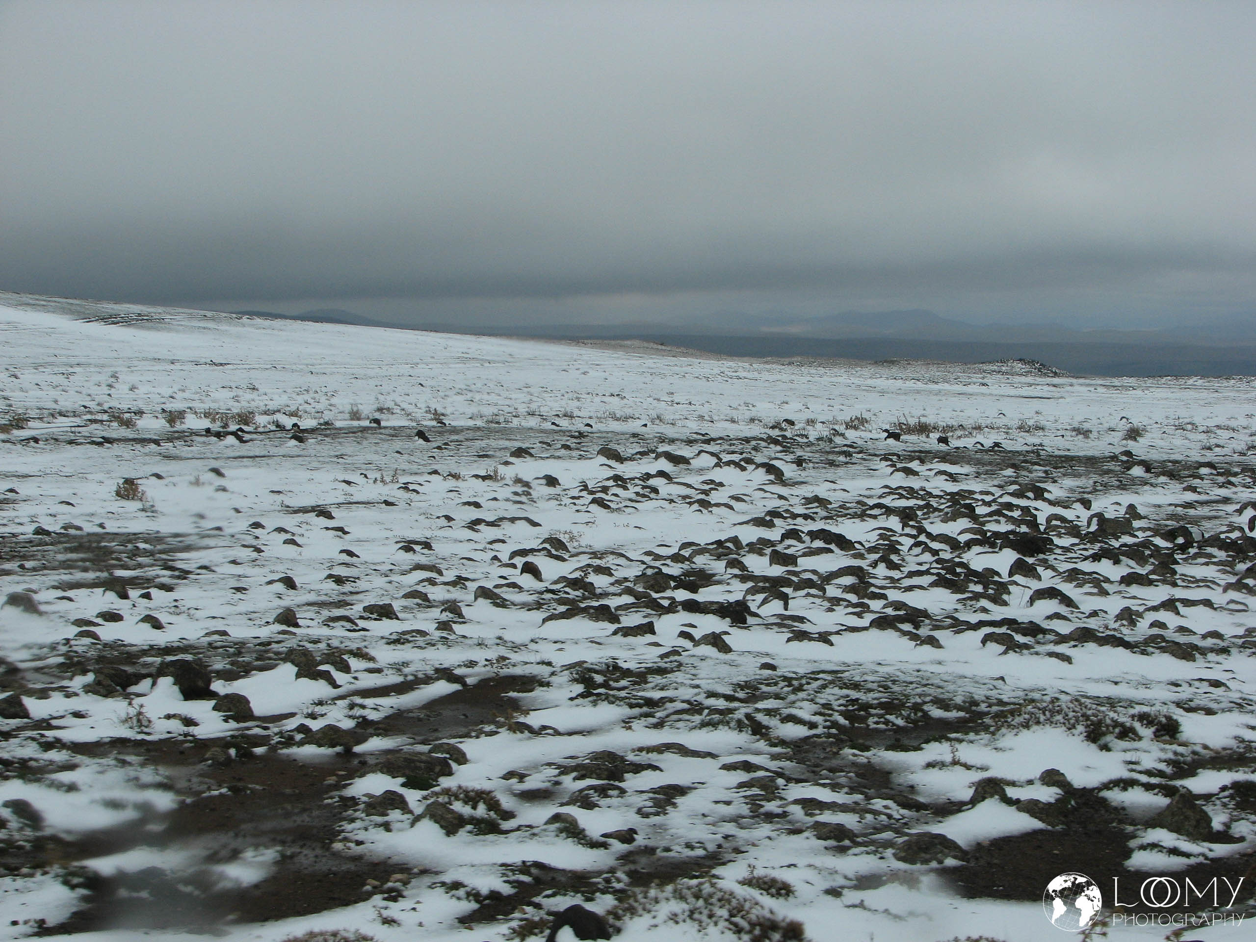Verschneites Hochplateau