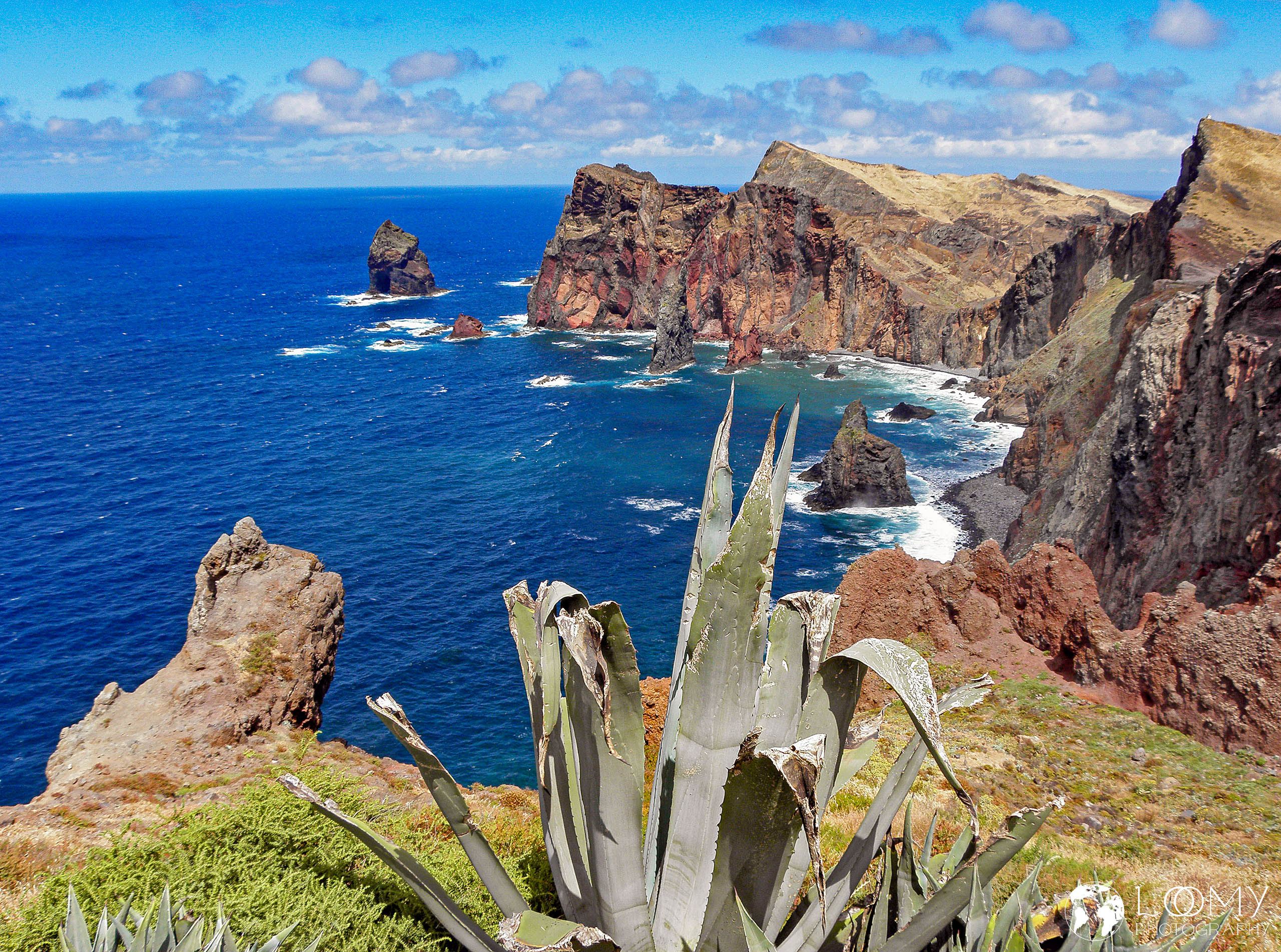 Ponta de São Lourenço