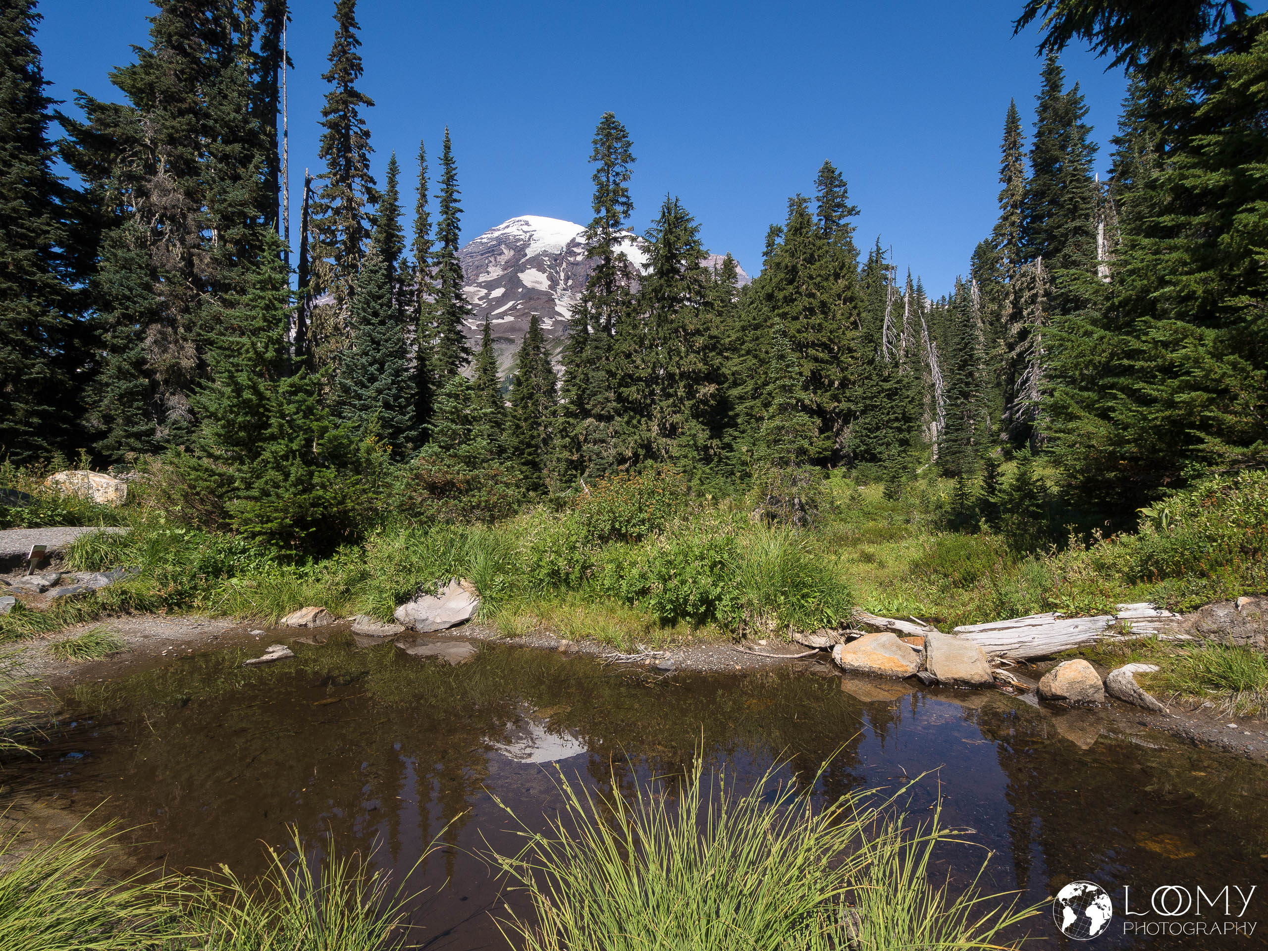 Mt. Rainier (4392m)