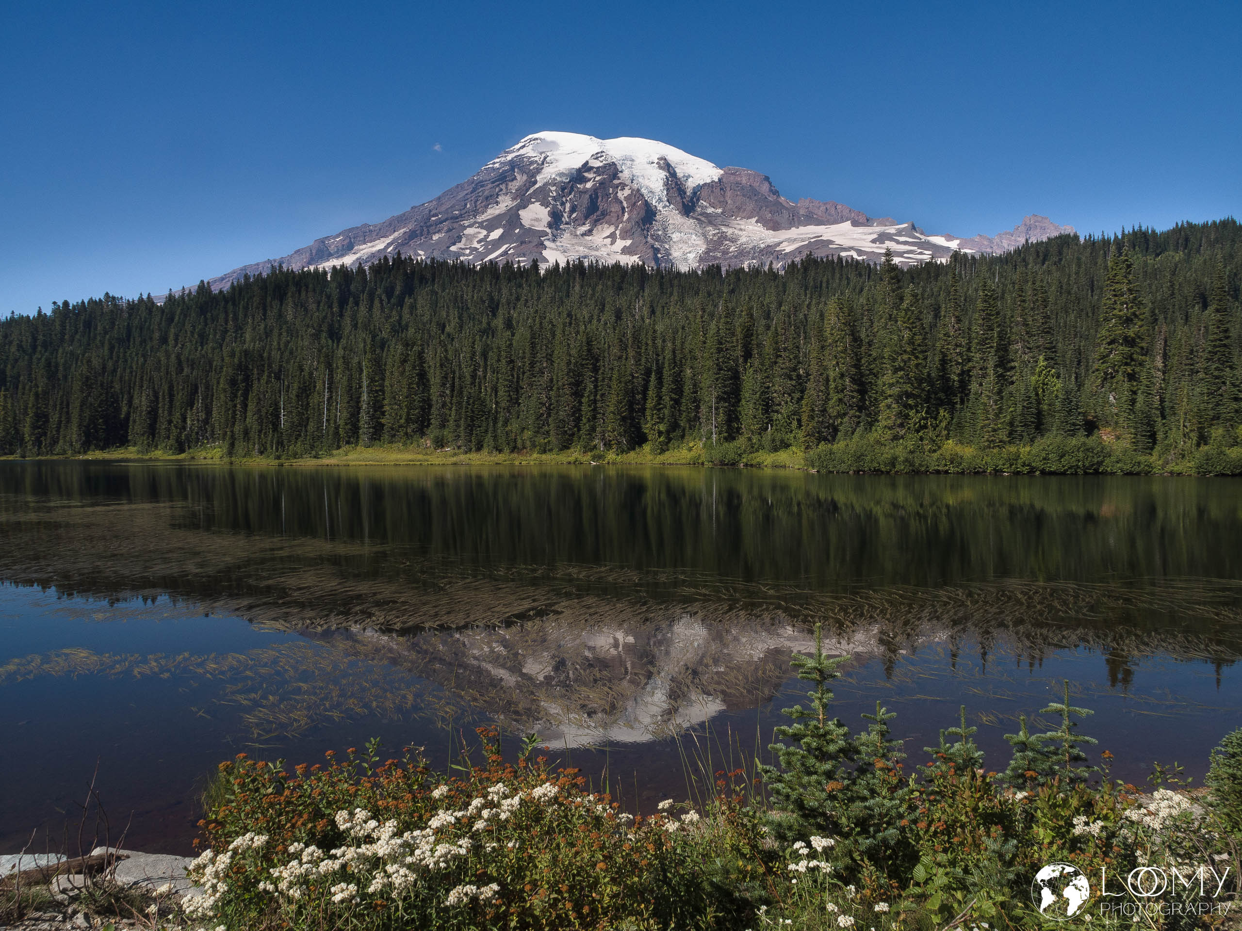 Mt Rainier