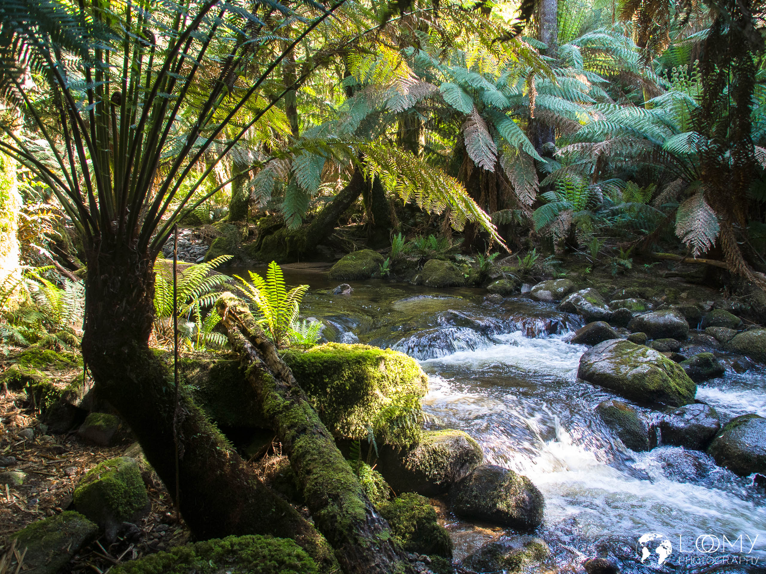 Tasmanien