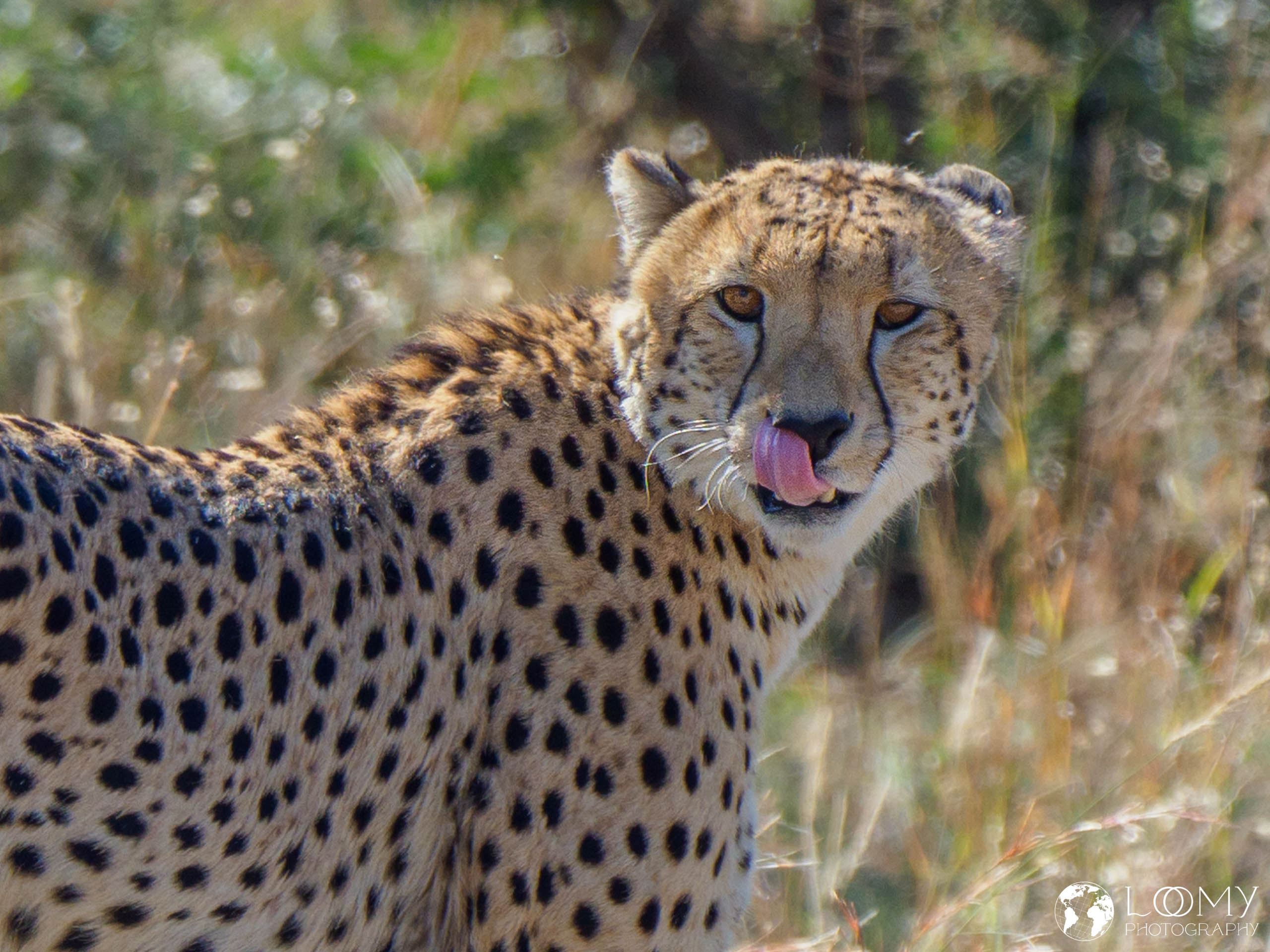 Mudumu NP