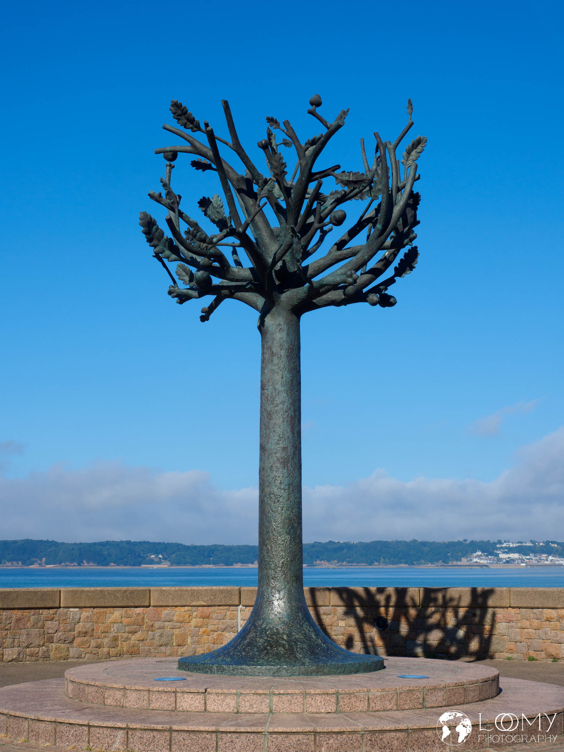Freedom Tree