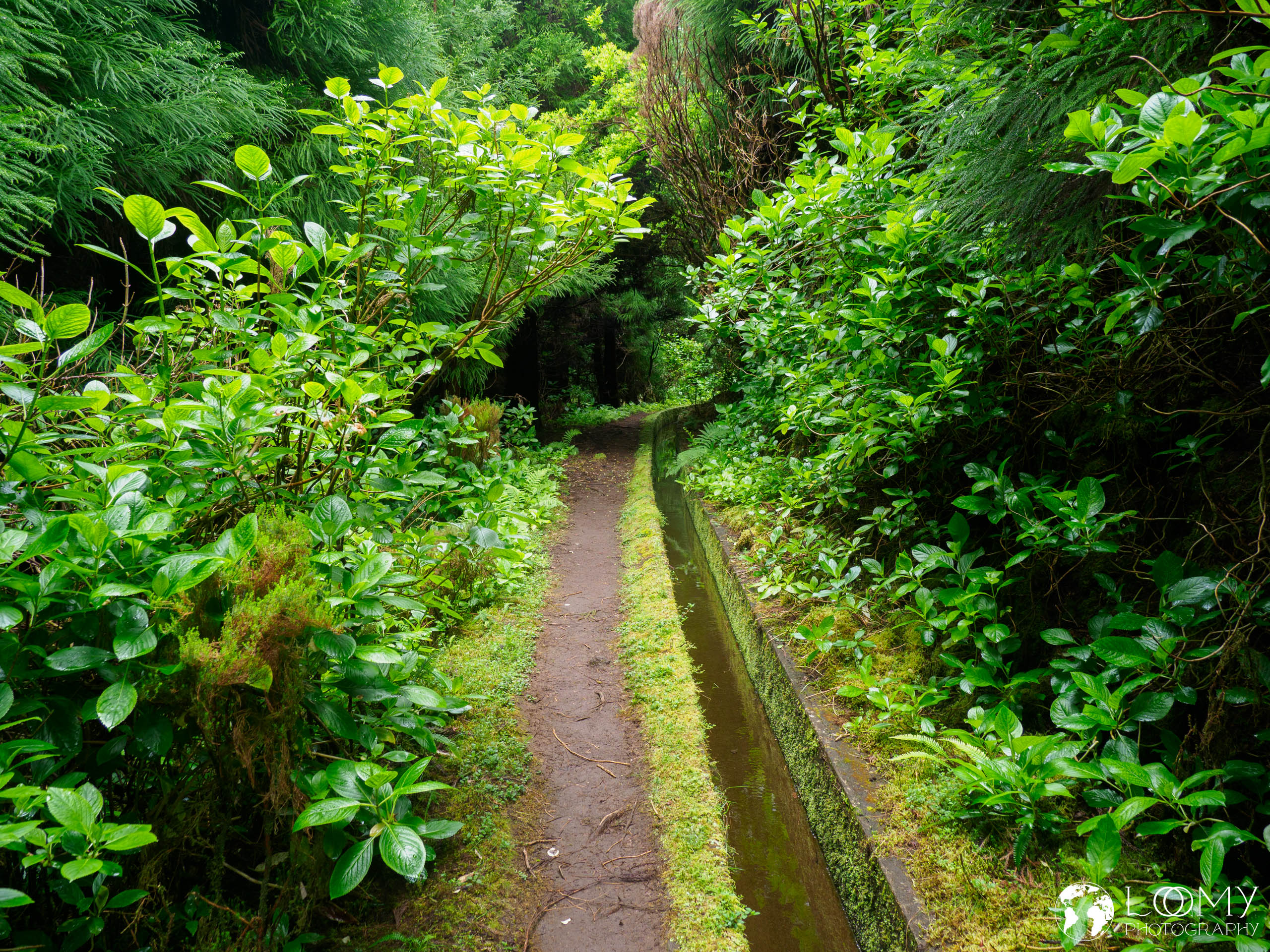 Levada
