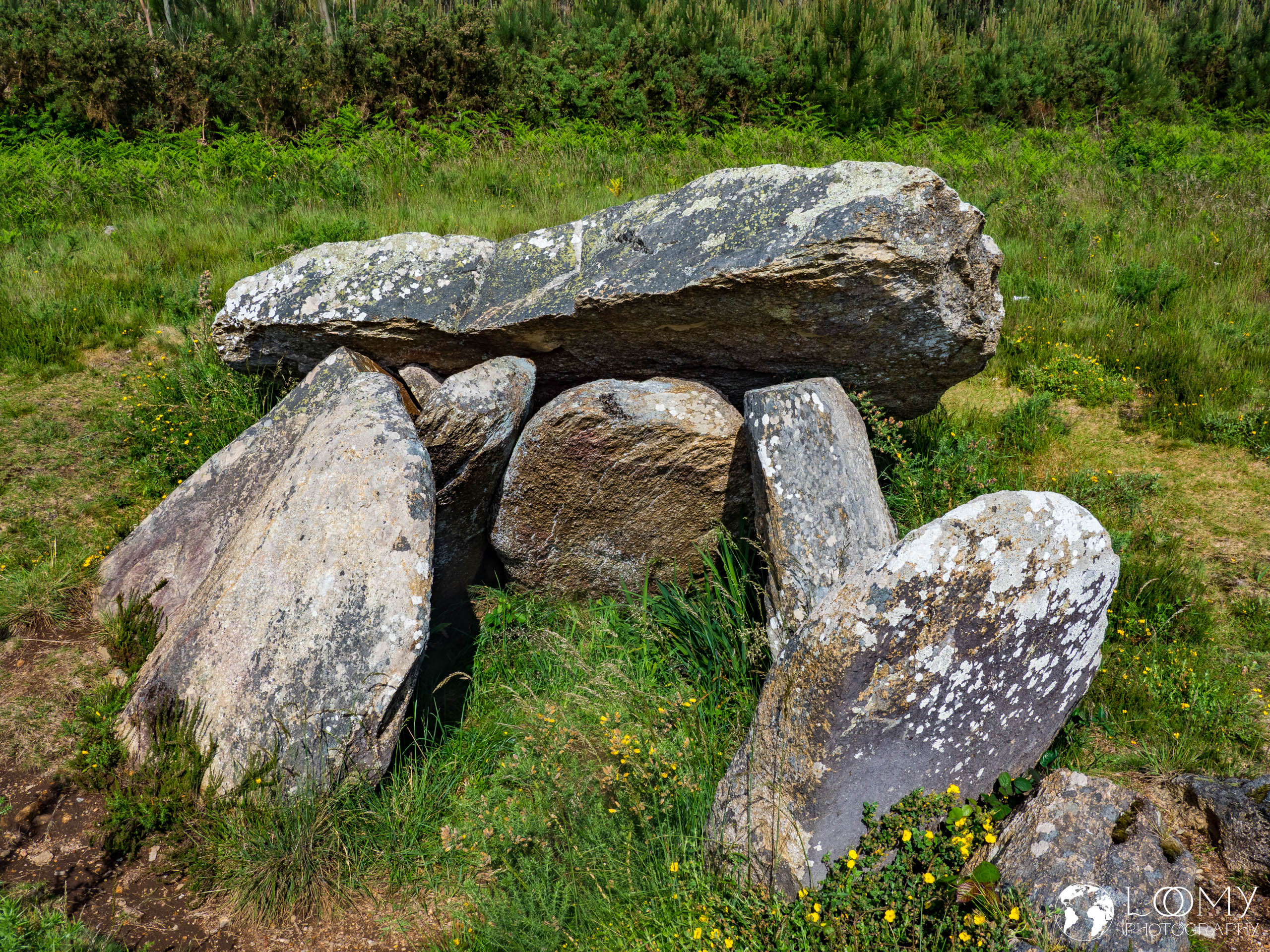 Dolmen Pedra da Arca