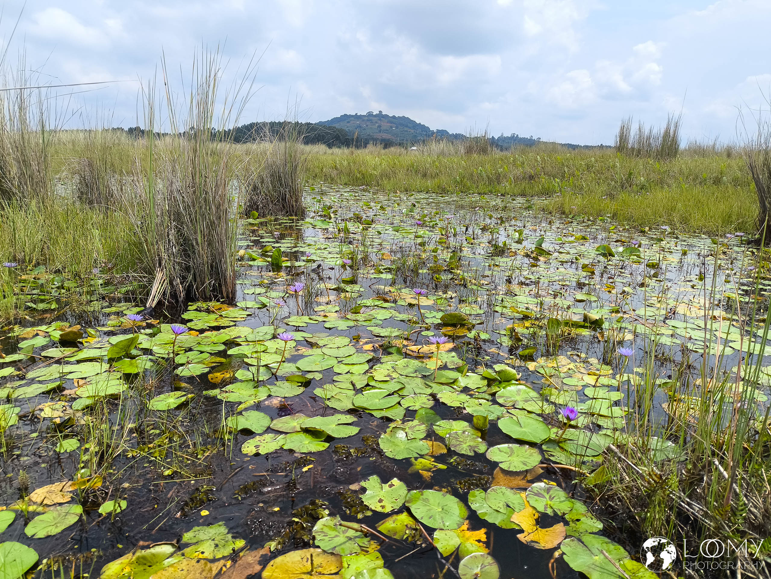 X3 0032 IMG 20260227 113350 -  